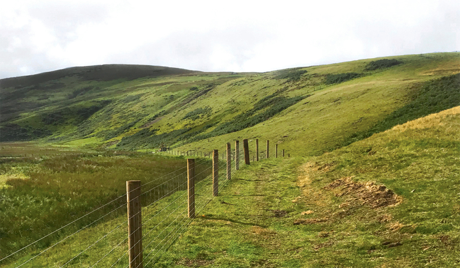 HOMEPAGE-FENCING-GTCONTRACTING